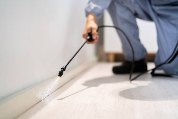 Professional exterminator conducting IPM assessment in Seven Points